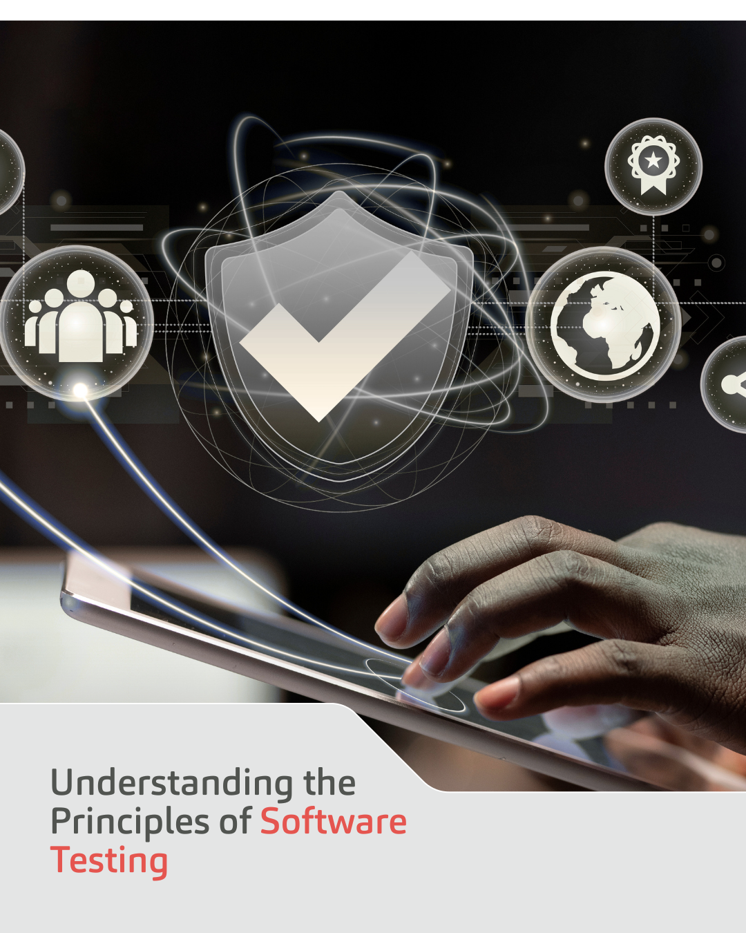 Understanding the Principles of Software Testing